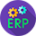 ERP Maintenance and Support